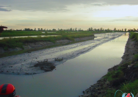 CÂU CHUYỆN NUÔI TÔM (tiếp theo)